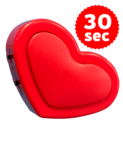 Love Heart Recordable Sound