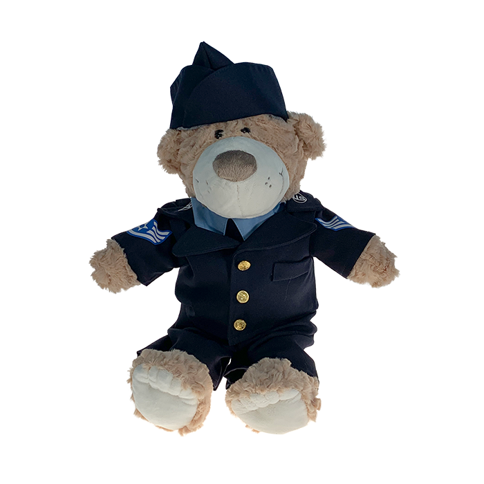Air Force Officer