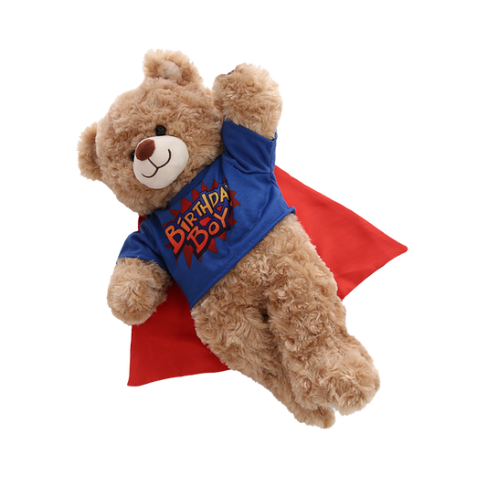 Birthday Hero Boys Tee
