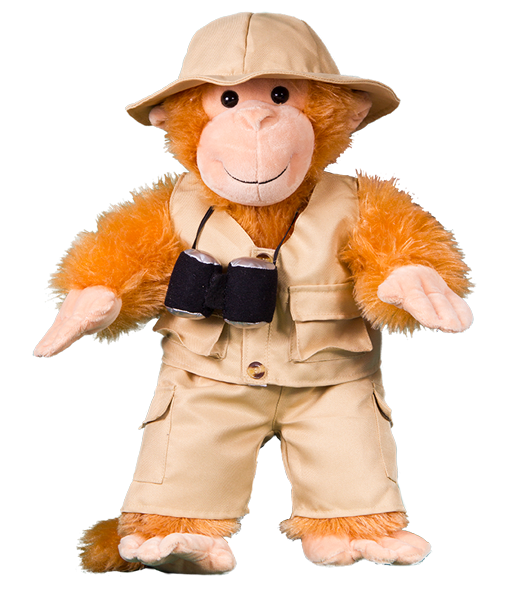 Safari