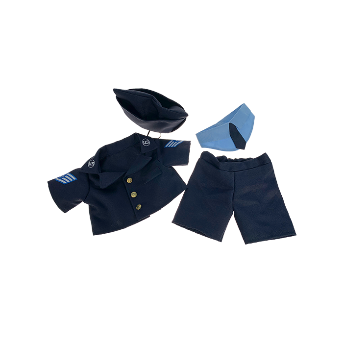 Air Force Officer