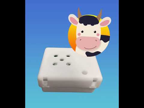 Cow Sound